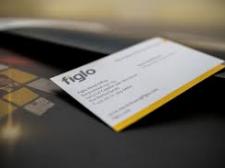 Fiscale borging Figlo Platform 2014