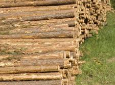 Geen MIA door gebruik niet gecertificeerd hout